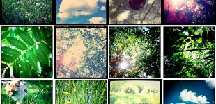 Contact sheet of my iPhone photos from this week