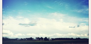 20110722_iphone_0009
