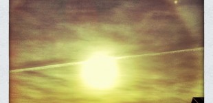20110812_iphone_0031