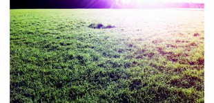 20110917_iphone_0015