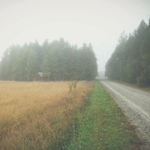 Misty morning. #vscocam #mist