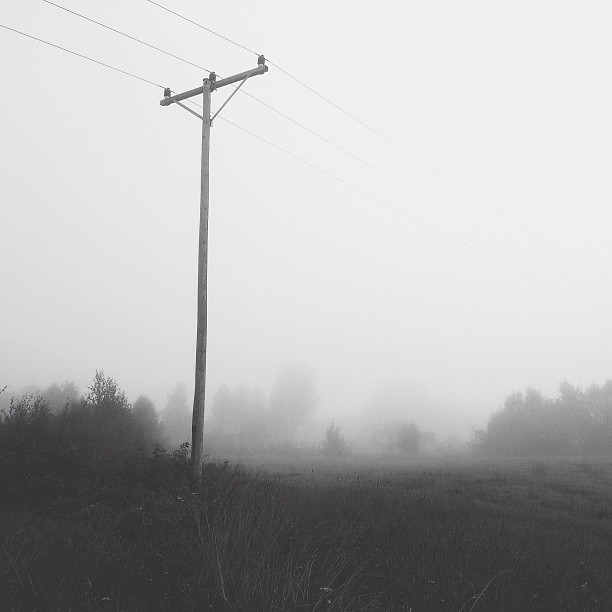 Misty morning #2 #vscocam #mist #monochrome