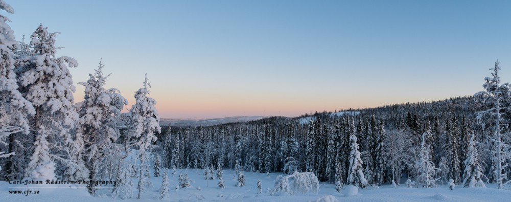 Winter panorama