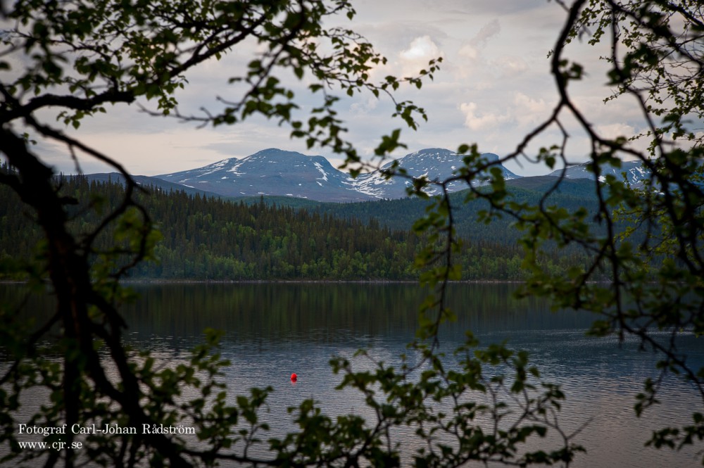 20100624_vilhelmina_fatmomakke_0016-2