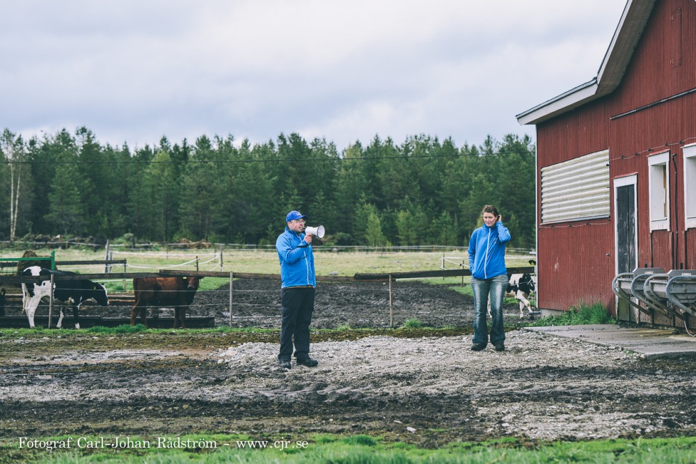 20150607_koslapp_gafsele_0013